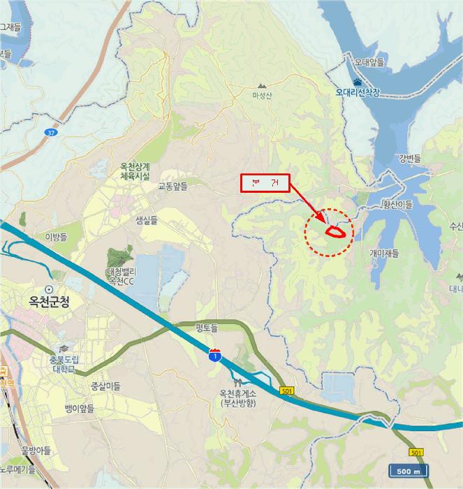 충청북도 옥천군 동이면 남곡리 산89 임야 경매 사진 18