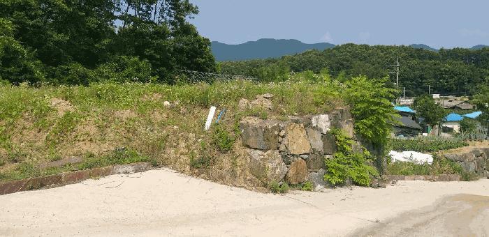 충청북도 옥천군 동이면 남곡리 산89 임야 경매 사진 4