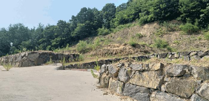 충청북도 옥천군 동이면 남곡리 산89 임야 경매 사진 5