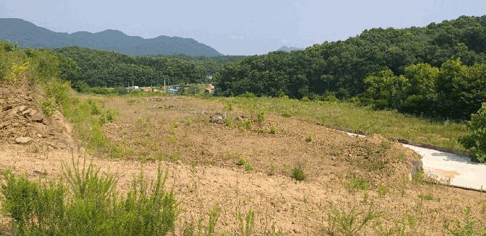 충청북도 옥천군 동이면 남곡리 산89 임야 경매 사진 6