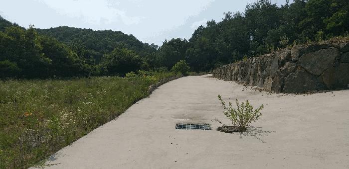 충청북도 옥천군 동이면 남곡리 산89 임야 경매 사진 8