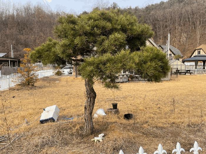 충청북도 영동군 양강면 묵정리 38-10 주택 경매 사진 4
