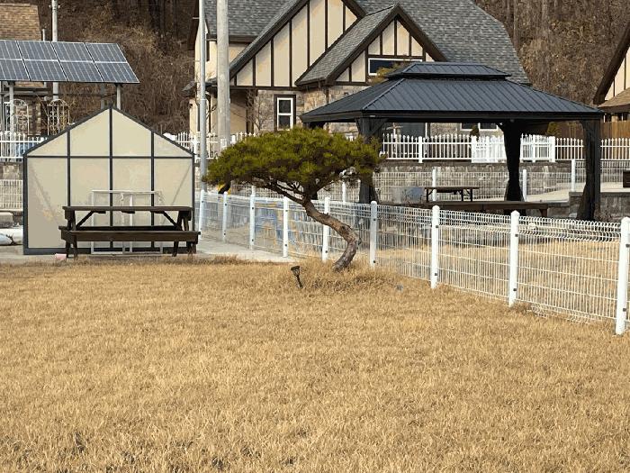 충청북도 영동군 양강면 묵정리 38-10 주택 경매 사진 6