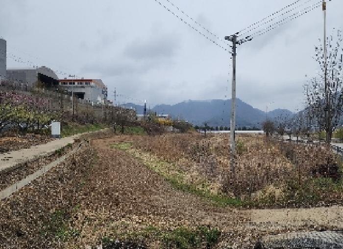 충청북도 옥천군 청산면 인정리 500 답 경매 사진 7
