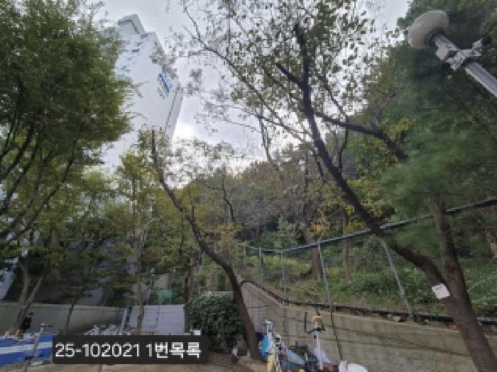 부산광역시 사하구 하단동 298-3 임야 경매 사진 5