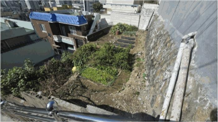 부산광역시 서구 동대신동3가 258-206 대지 경매 사진 2