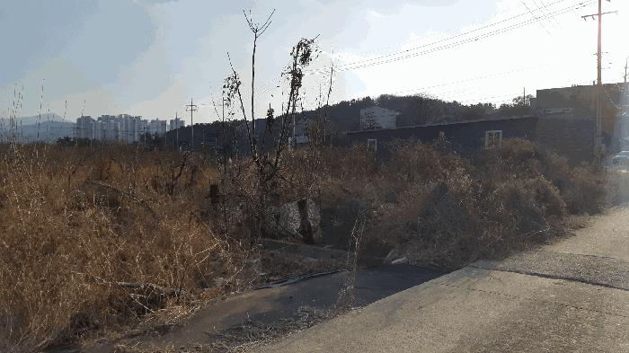 대구광역시 달성군 화원읍 구라리 1418-1 답 경매 사진 2