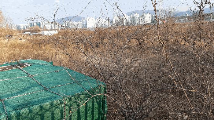 대구광역시 달성군 화원읍 구라리 1418-1 답 경매 사진 8