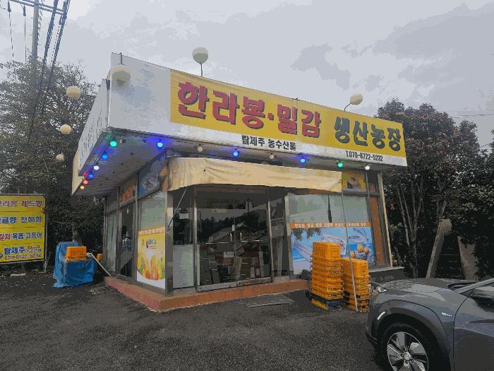 제주특별자치도 서귀포시 서호동 15-1 근린주택 경매 사진 3