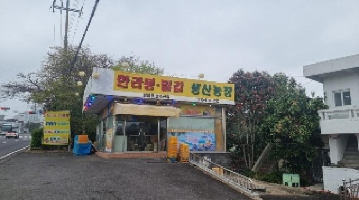 제주특별자치도 서귀포시 서호동 15-1 근린주택 경매 사진 37