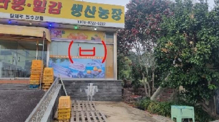 제주특별자치도 서귀포시 서호동 15-1 근린주택 경매 사진 52