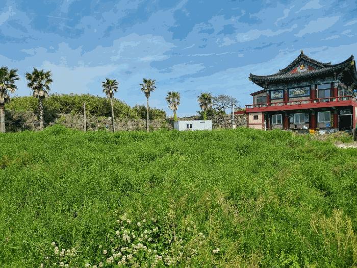 제주특별자치도 서귀포시 표선면 표선리 814-6 전 경매 사진 3