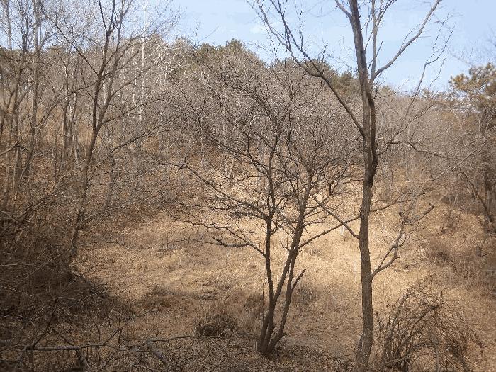 울산광역시 중구 성안동 684 전 경매 사진 1