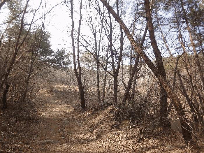 울산광역시 중구 성안동 684 전 경매 사진 2