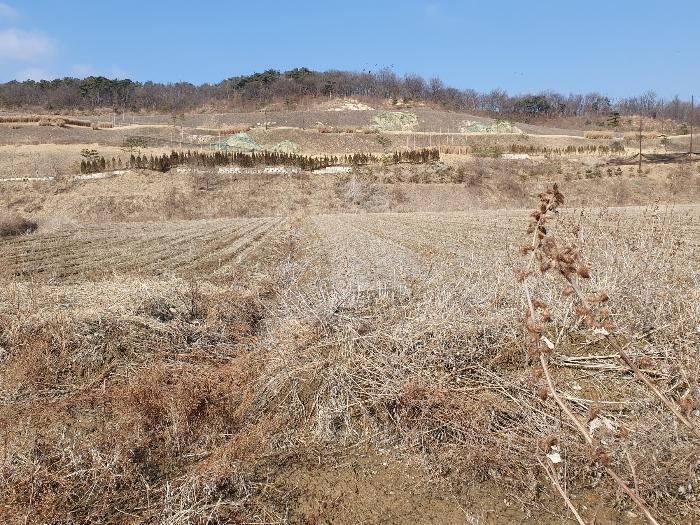 인천광역시 강화군 길상면 선두리 1053-11 대지 경매 사진 3