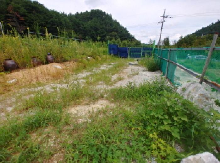 충청남도 금산군 금산읍 양지리 246-1 답 경매 사진 1
