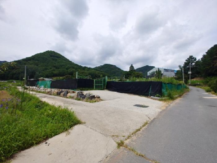충청남도 금산군 금산읍 양지리 246-1 답 경매 사진 13