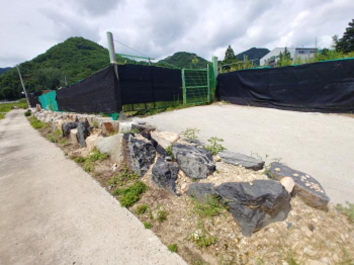 충청남도 금산군 금산읍 양지리 246-1 답 경매 사진 23
