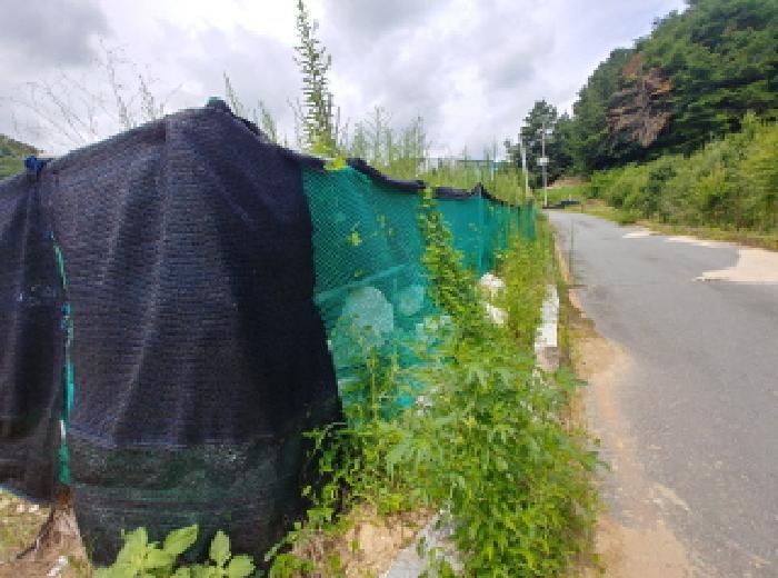 충청남도 금산군 금산읍 양지리 246-1 답 경매 사진 25
