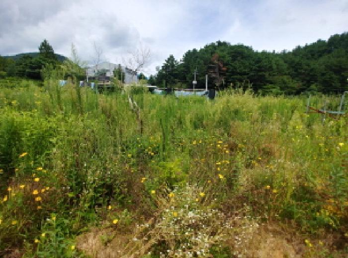 충청남도 금산군 금산읍 양지리 246-1 답 경매 사진 28