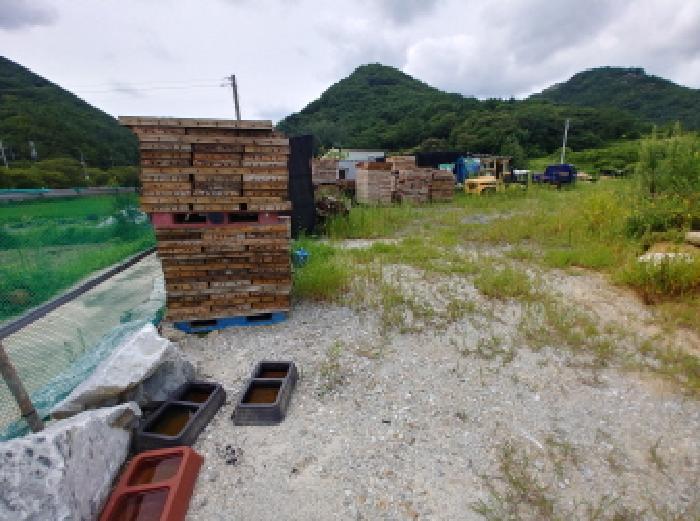 충청남도 금산군 금산읍 양지리 246-1 답 경매 사진 3