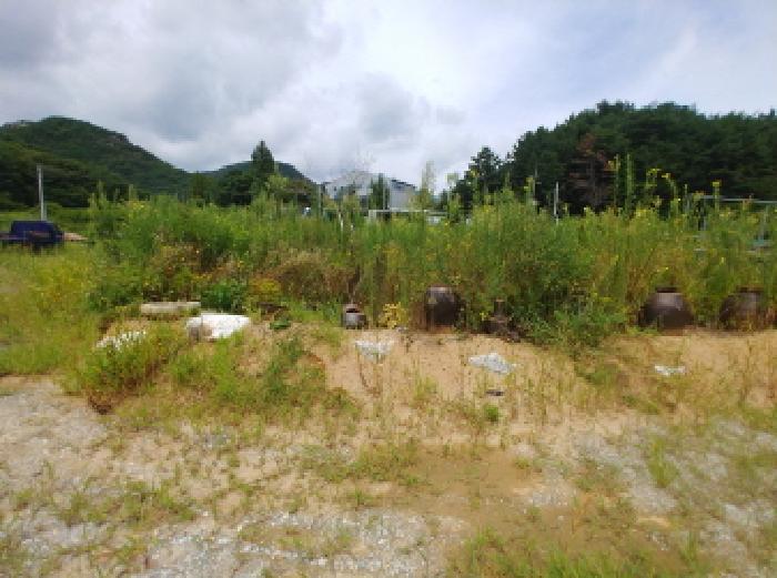 충청남도 금산군 금산읍 양지리 246-1 답 경매 사진 31