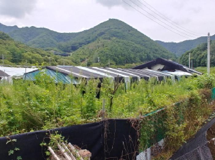 충청남도 금산군 금산읍 양지리 246-1 답 경매 사진 33
