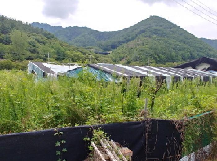 충청남도 금산군 금산읍 양지리 246-1 답 경매 사진 34