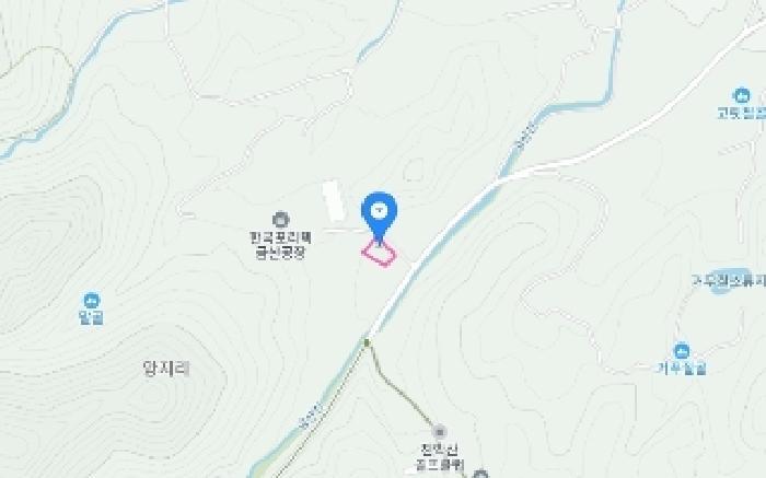 충청남도 금산군 금산읍 양지리 246-1 답 경매 사진 37