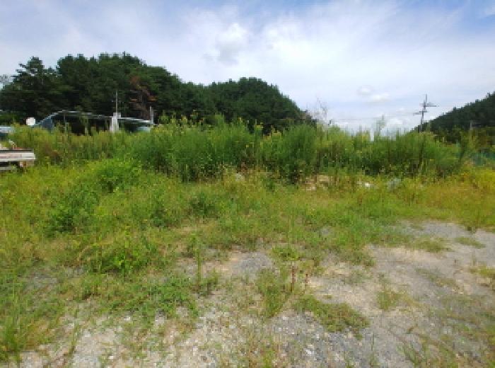 충청남도 금산군 금산읍 양지리 246-1 답 경매 사진 7