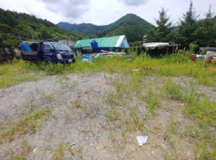 충청남도 금산군 금산읍 양지리 246-1 답 경매 사진 8