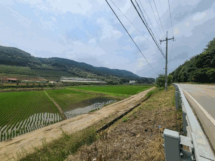 세종특별자치시 장군면 송학리 580-4 답 경매 사진 2