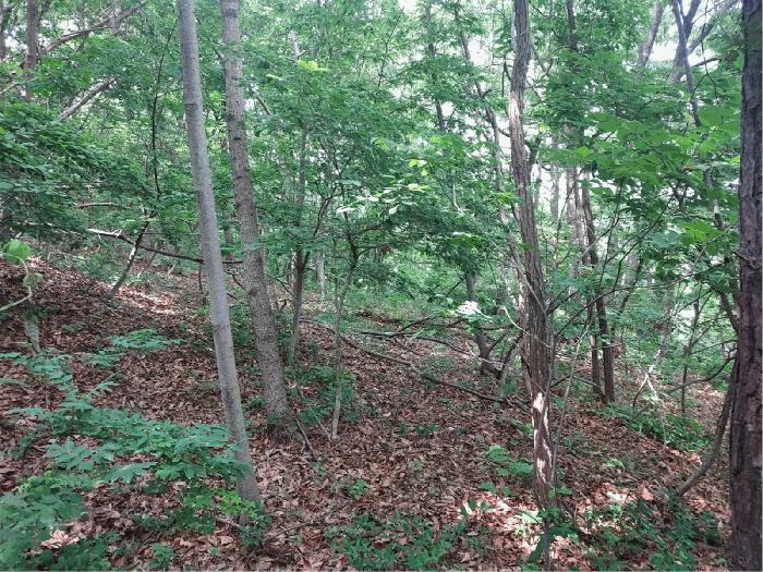 경기도 화성시 송산면 지화리 635 전 경매 사진 2