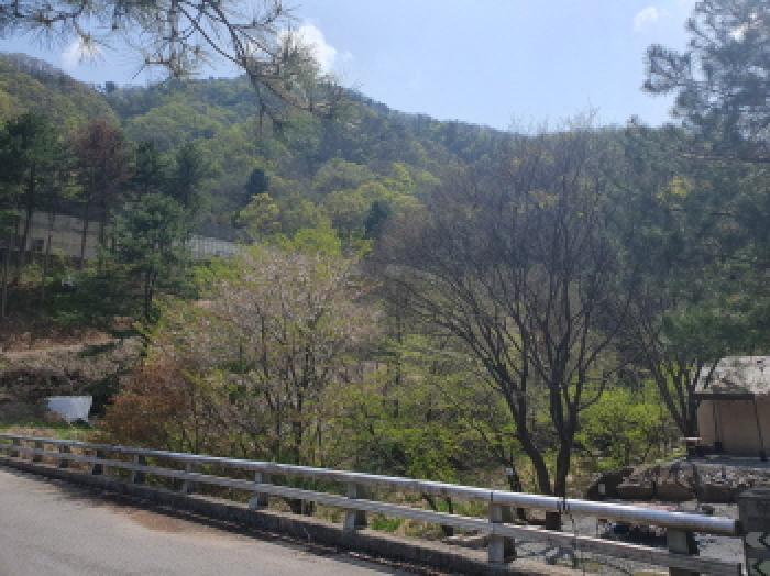 경기도 가평군 설악면 회곡리 255 전 경매 사진 11