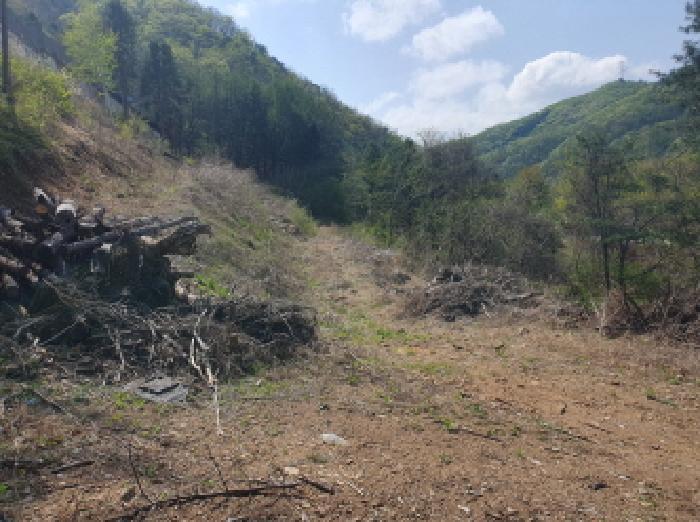 경기도 가평군 설악면 회곡리 255 전 경매 사진 22