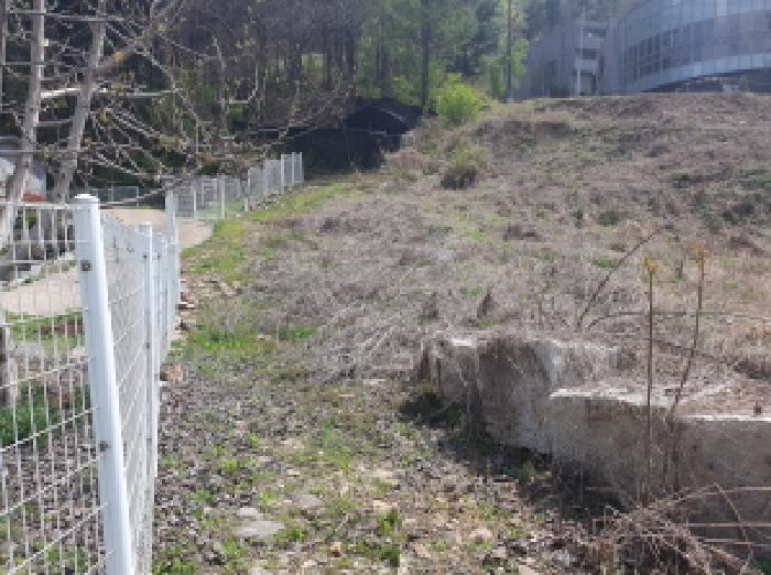 경기도 가평군 설악면 회곡리 255 전 경매 사진 24