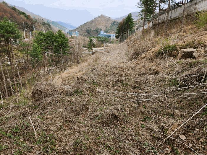 경기도 가평군 설악면 회곡리 255 전 경매 사진 3