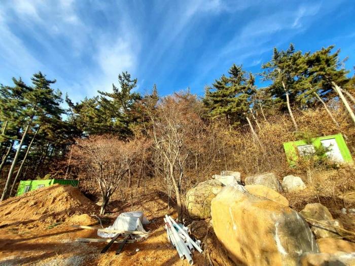 경기 안산시 단원구 임야