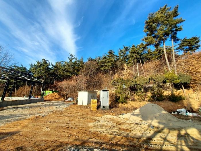 경기도 안산시 단원구 대부북동 1525-53 임야 경매 사진 2
