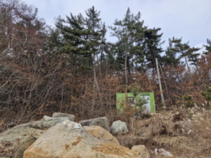 경기도 안산시 단원구 대부북동 1525-53 임야 경매 사진 3