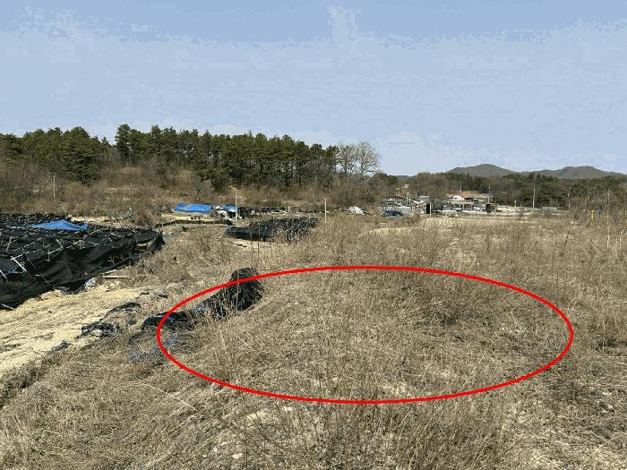 충청남도 금산군 금성면 도곡리 307-4 임야 경매 사진 13