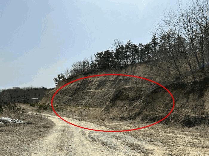 충청남도 금산군 금성면 도곡리 307-4 임야 경매 사진 14
