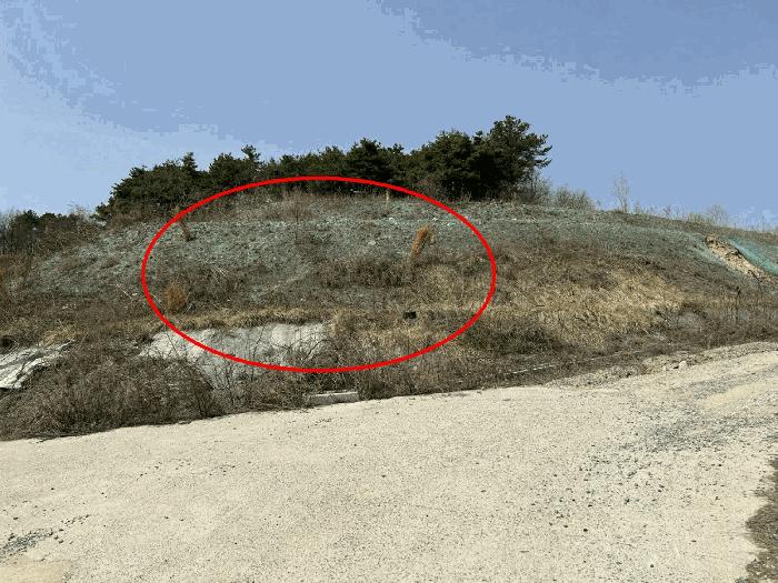 충청남도 금산군 금성면 도곡리 307-4 임야 경매 사진 26