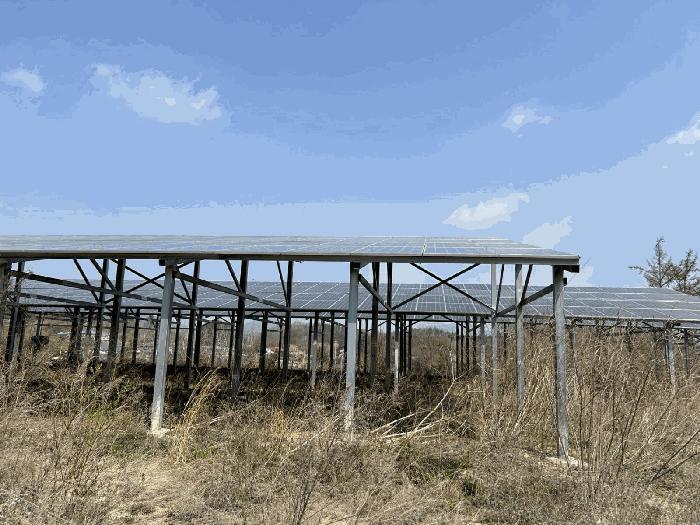 충청남도 금산군 금성면 도곡리 307-4 임야 경매 사진 30