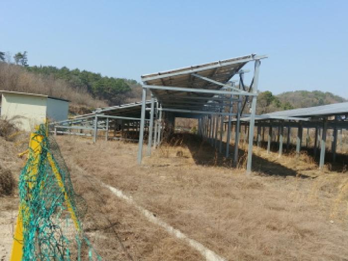 충청남도 금산군 금성면 도곡리 307-4 임야 경매 사진 36