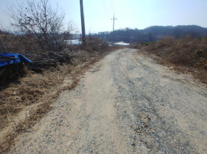 충청남도 금산군 금성면 도곡리 307-4 임야 경매 사진 40