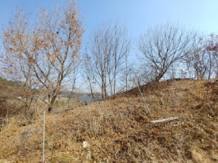 충청남도 금산군 금성면 도곡리 307-4 임야 경매 사진 46