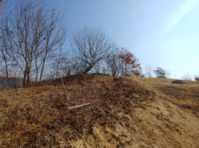 충청남도 금산군 금성면 도곡리 307-4 임야 경매 사진 47