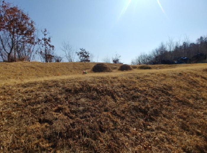 충청남도 금산군 금성면 도곡리 307-4 임야 경매 사진 48