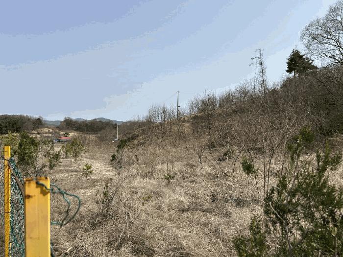 충청남도 금산군 금성면 도곡리 307-4 임야 경매 사진 5